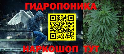 Альфа ПВП Сланцы