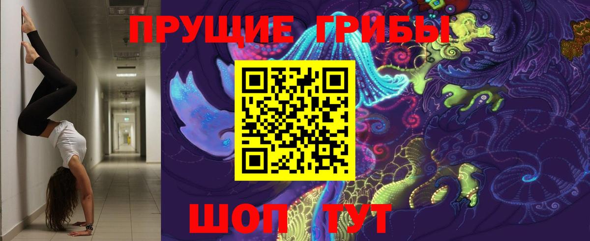 Альметьевск  где продают   Вход с VPN  Галлюциногенные грибы Psilocybe  Псилоцибиновые грибы MAGIC MUSHROOMS 
