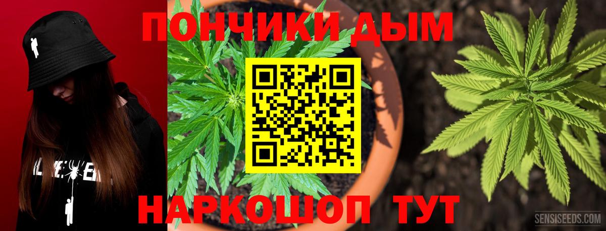 Шишки марихуана семена  Канабис ГИДРОПОН  Альметьевск  Вход с VPN  Бошки Шишки SATIVA & INDICA 
